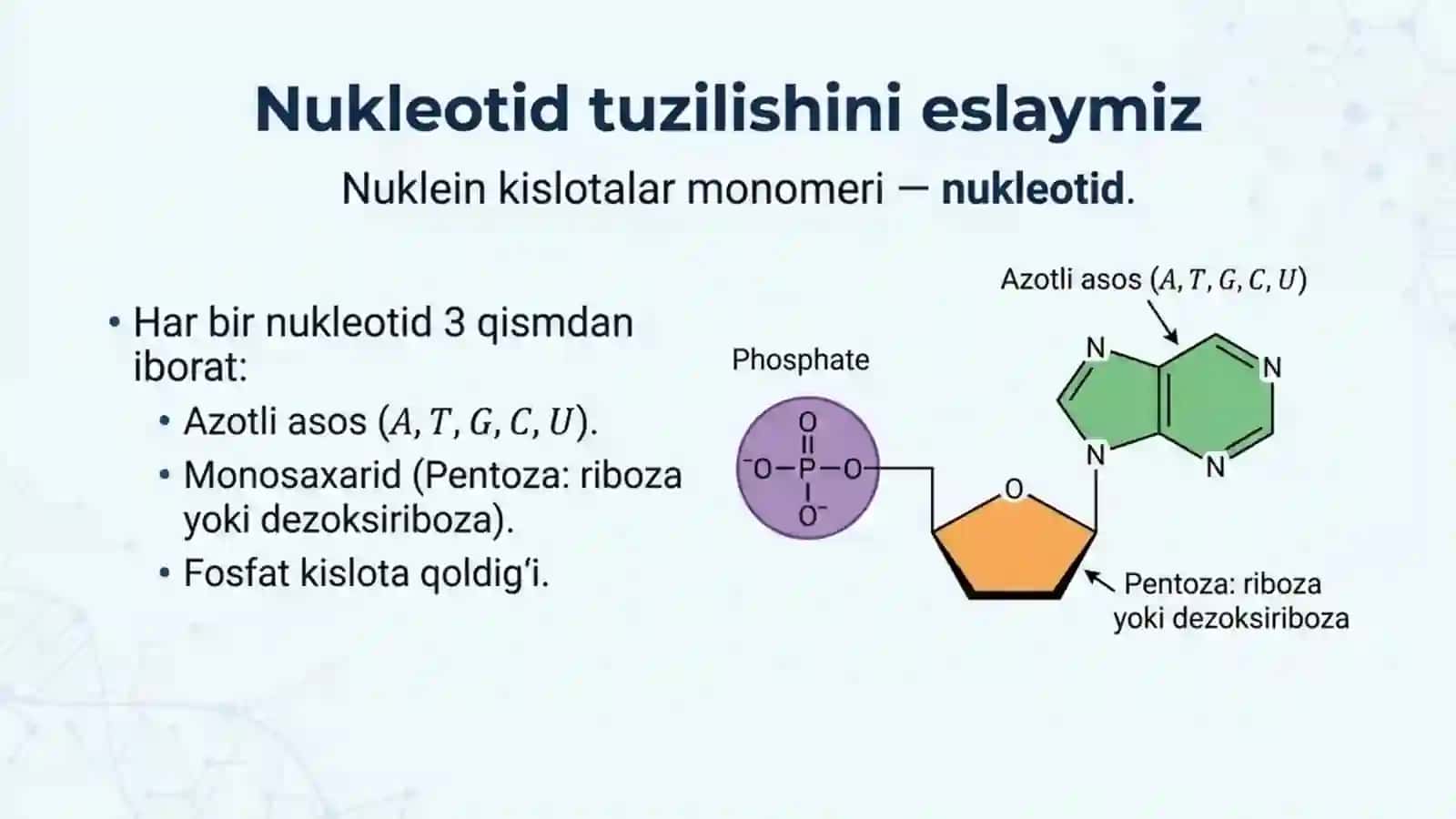 DNK va RNK tuzilishiga doir masalalar yechish 2