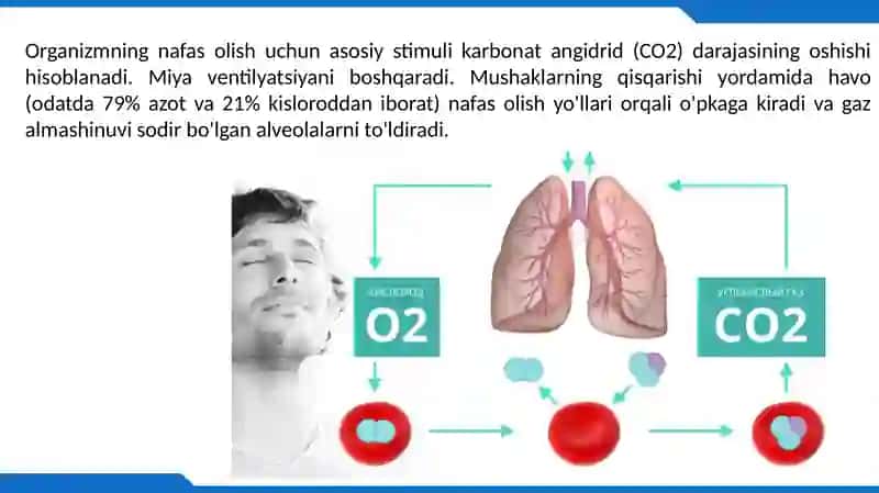 PULSE OKSIMETR 2
