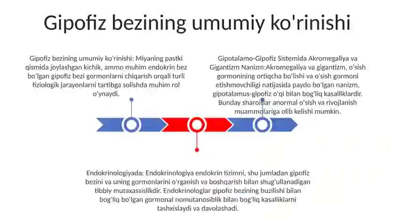 Gipotalamo Gipofiz Sistemasida Akromegaliya Va Gigantizm Nanizm 2