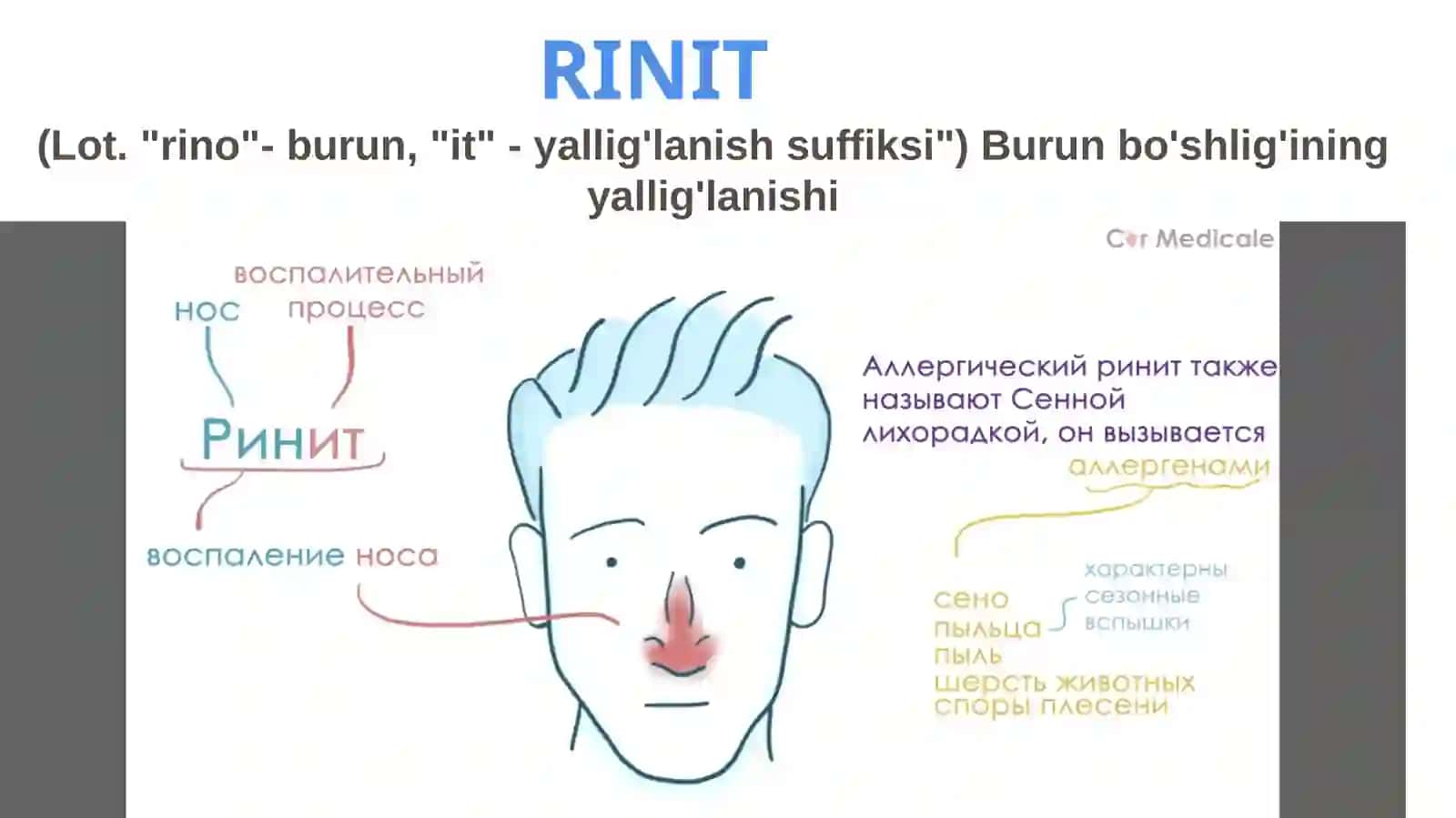Allergikrinit 2