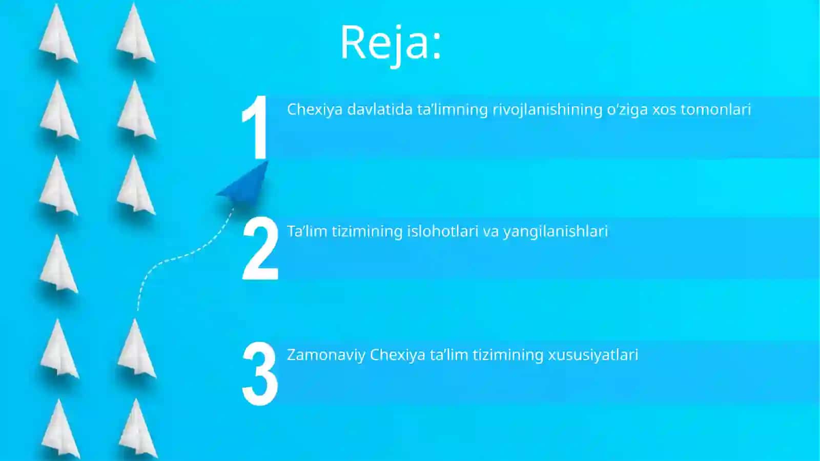 Chexiya davlatida ta'lim taraqqiyotining o'ziga xos jihatlari 2