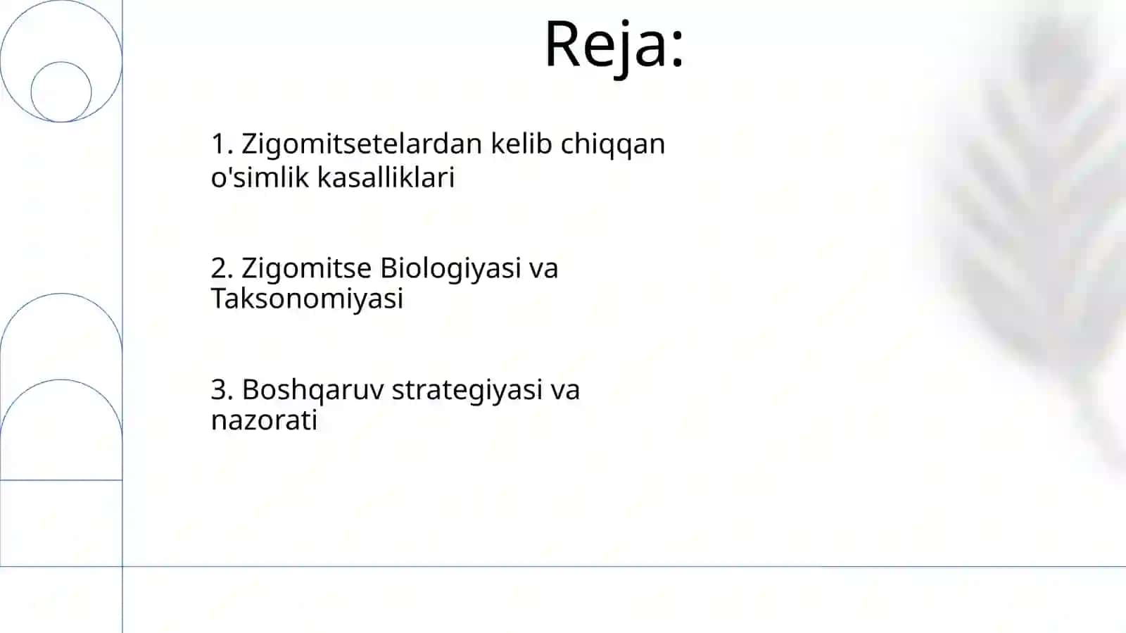 Zigomitsetlar sinfi vakillarining o'simliklarda qo'zg'atadigan kasalliklari 2