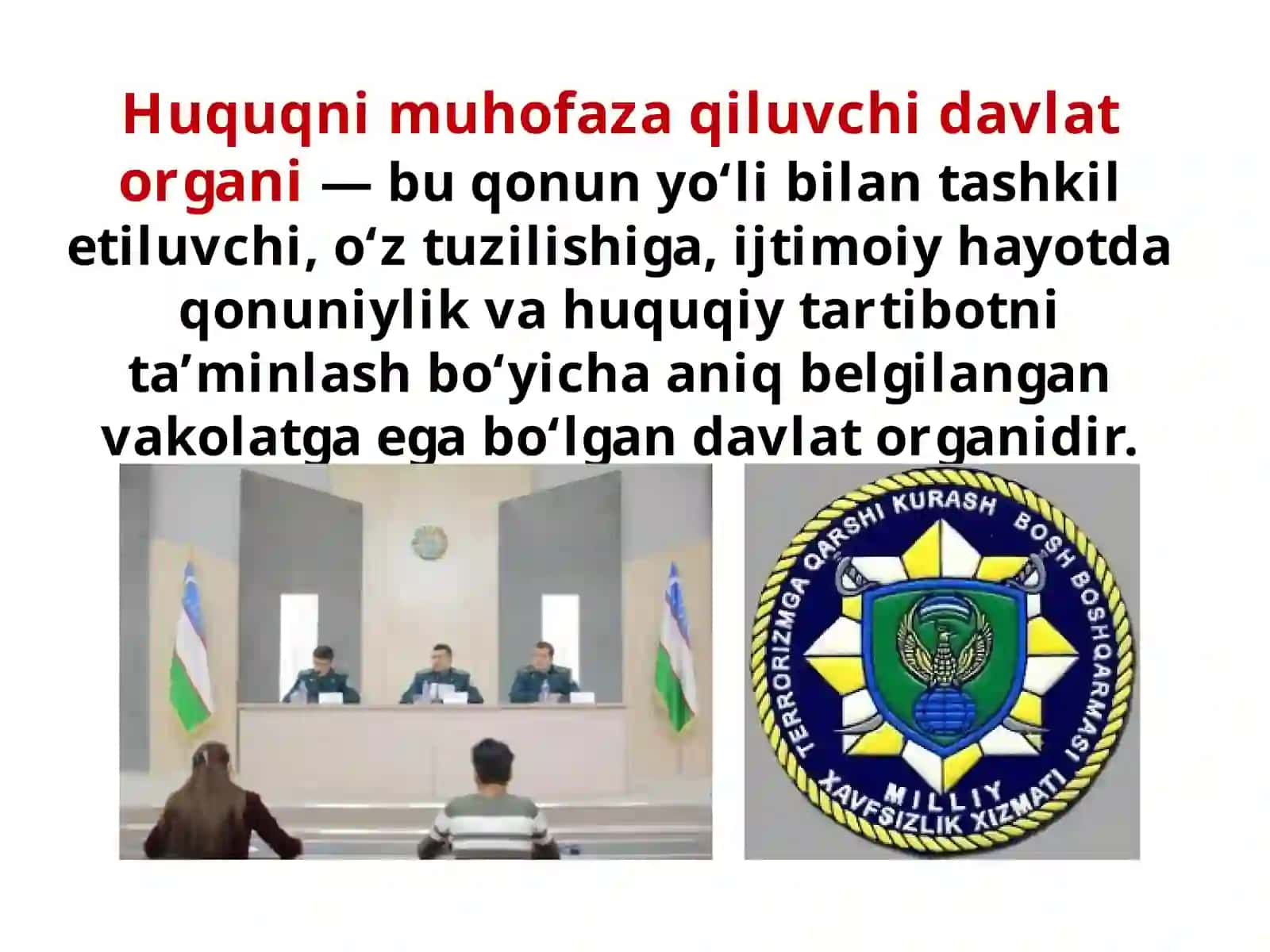 Huquqni  muhofaza  qiluvchi  davlat  organlari 2