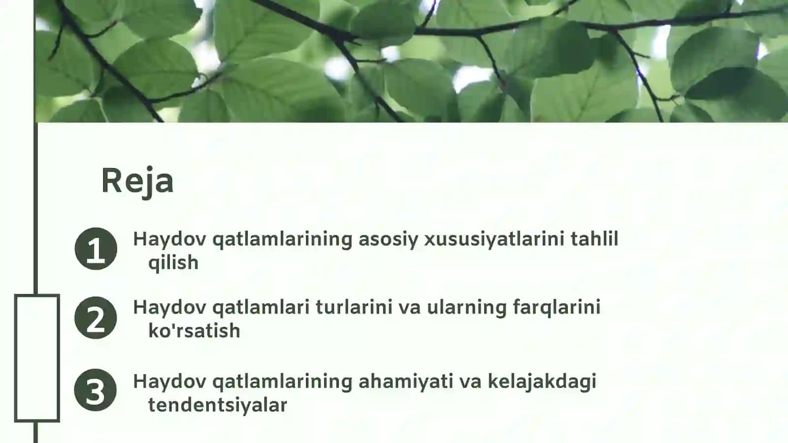 Haydov qatlamlari turlari va ularning farqlari 2