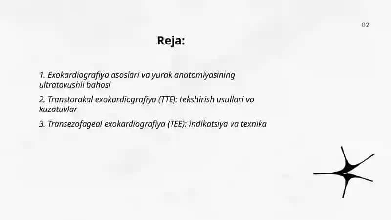 Exokardiografiya 2