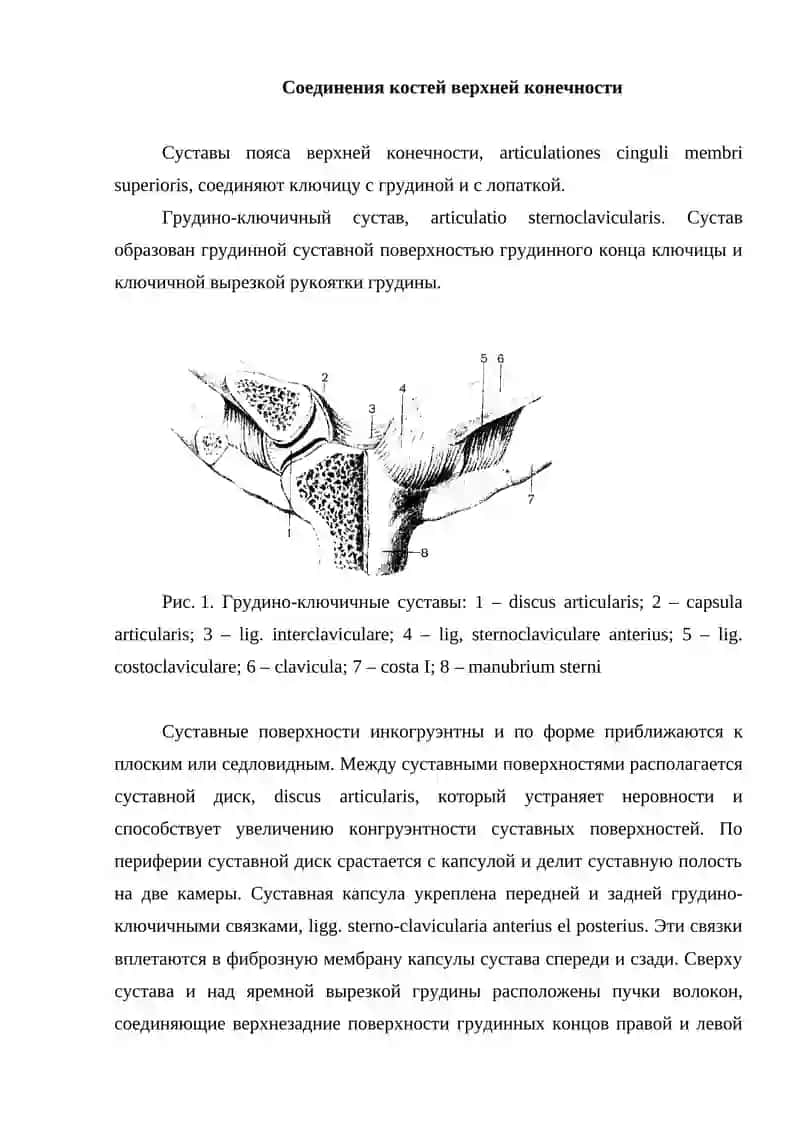Соединения костей верхней конечности 2