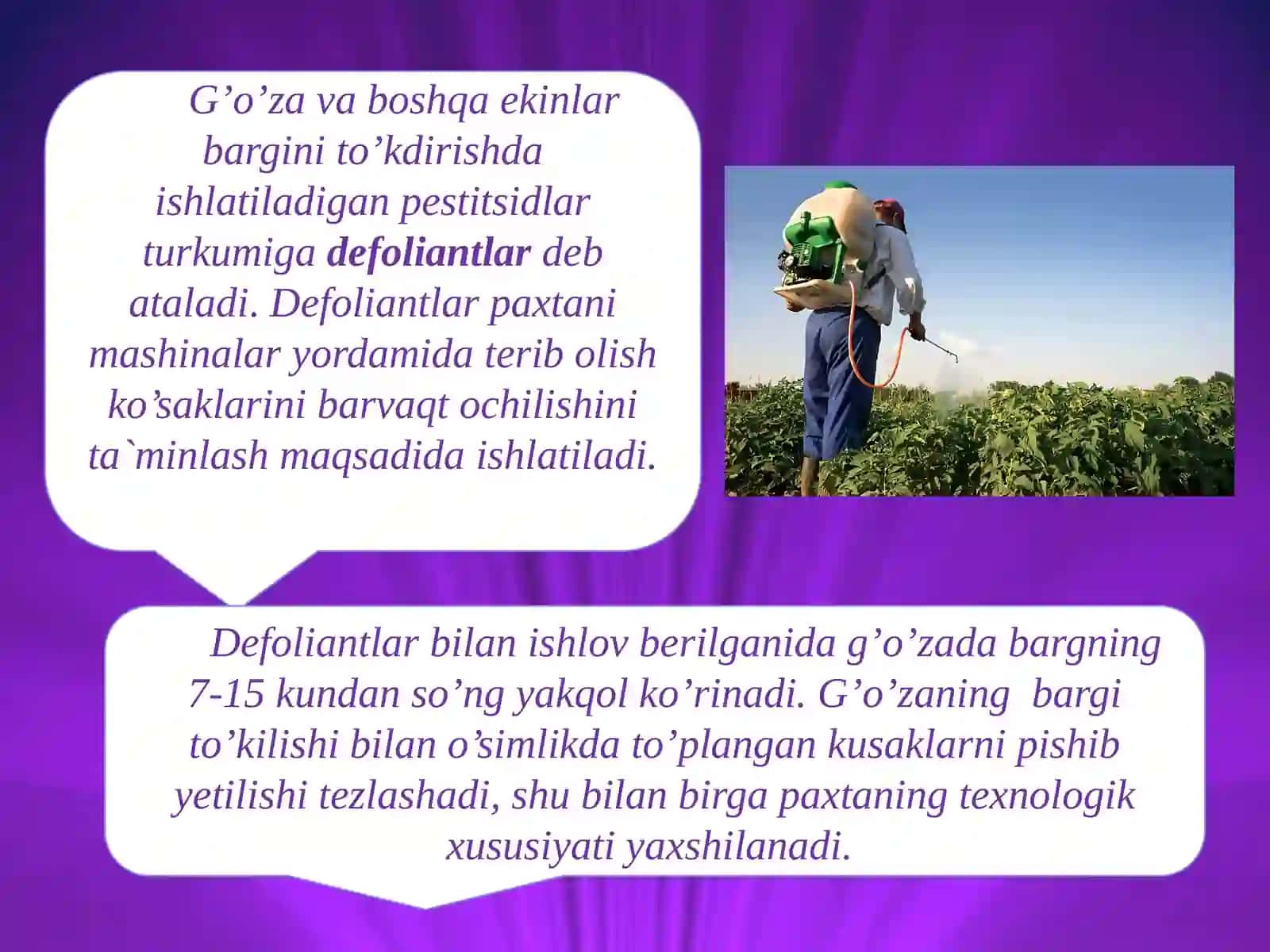 Defоliantlar, desikantlar va o’simliklarni o’sishini bоshqaruvchi mоddalar 2