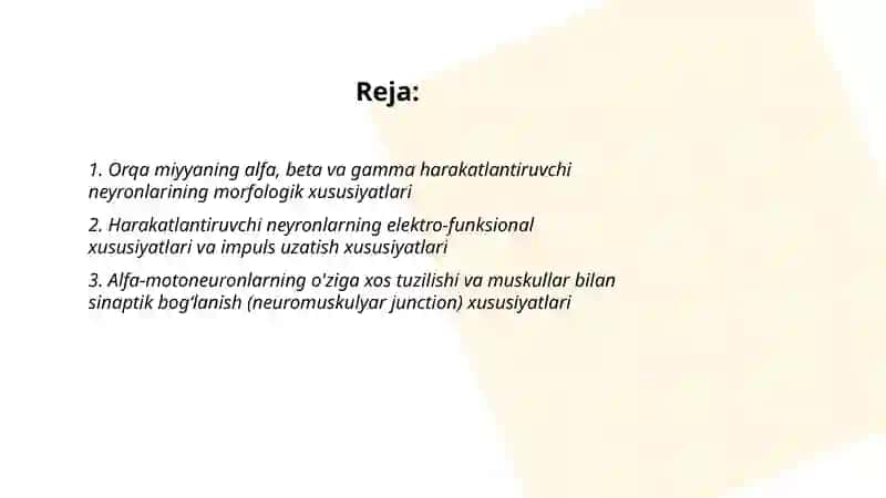 Bosh miya yarim sharlari poʻstlogʻining morfogenezi 2