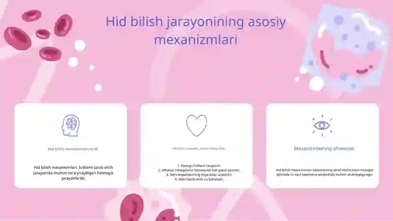 Hid bilish a’zosi 2