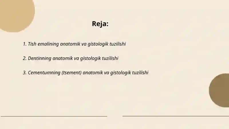 Tish qattiq va yumshoq toqimalarining anatamik va gistolagig tuzilishi 2