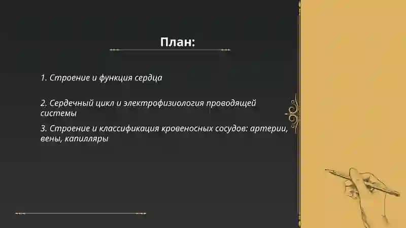 Кровеносная система 2
