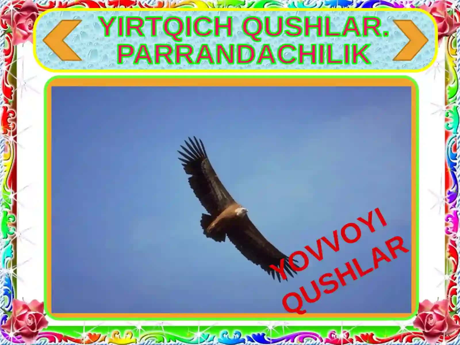 Zoologiya fanidan dars taqdimoti 2