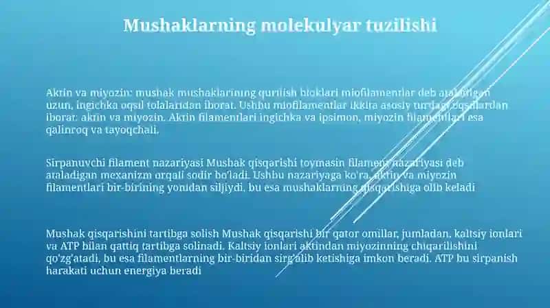 Mushak Qisqarishining Mexanizmi 2