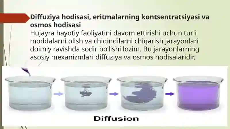 Hujayra hayotiy faoliyatini davom ettirishi 2