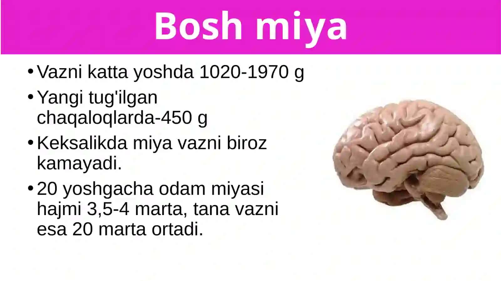 Boshmiyaning tuzilishi va funksiyasi 2