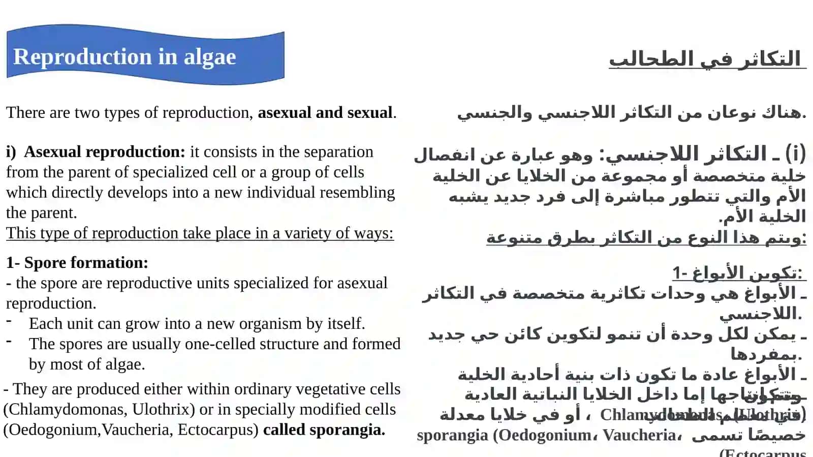 Algal flagella(Part Two) 2