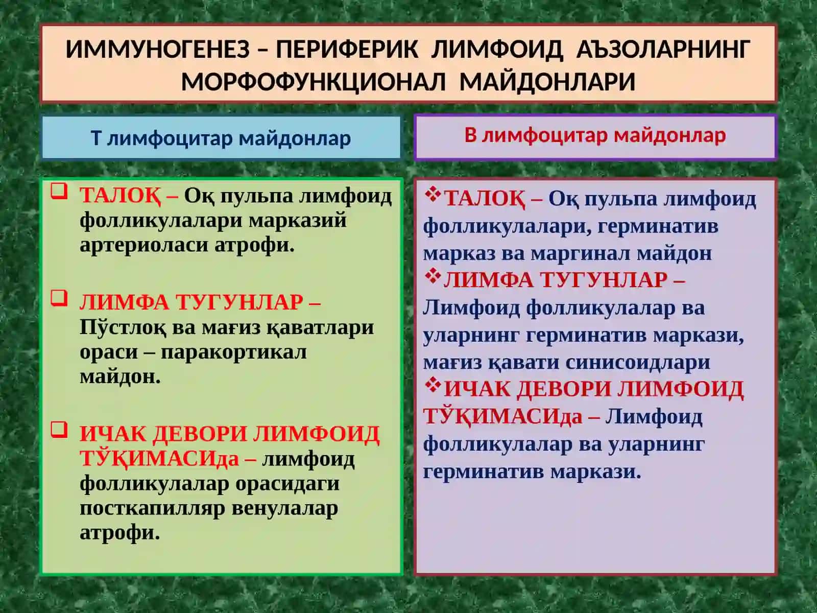 IMMUNITET ИММУНОГЕНЕЗНИНГ СХЕМАТИК ТАСВИРИ 2