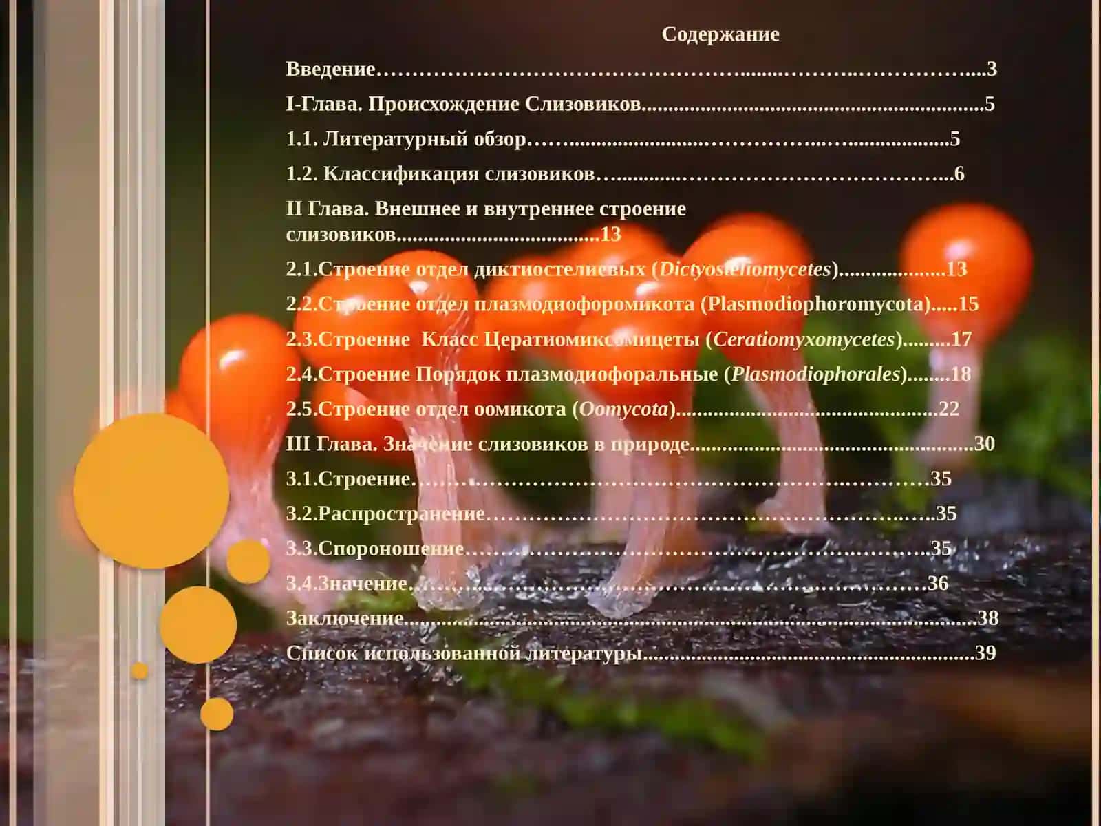 СТРОЕНИЕ И ЗНАЧЕНИЕ СЛИЗОВИКОВ В ПРИРОДЕ 2