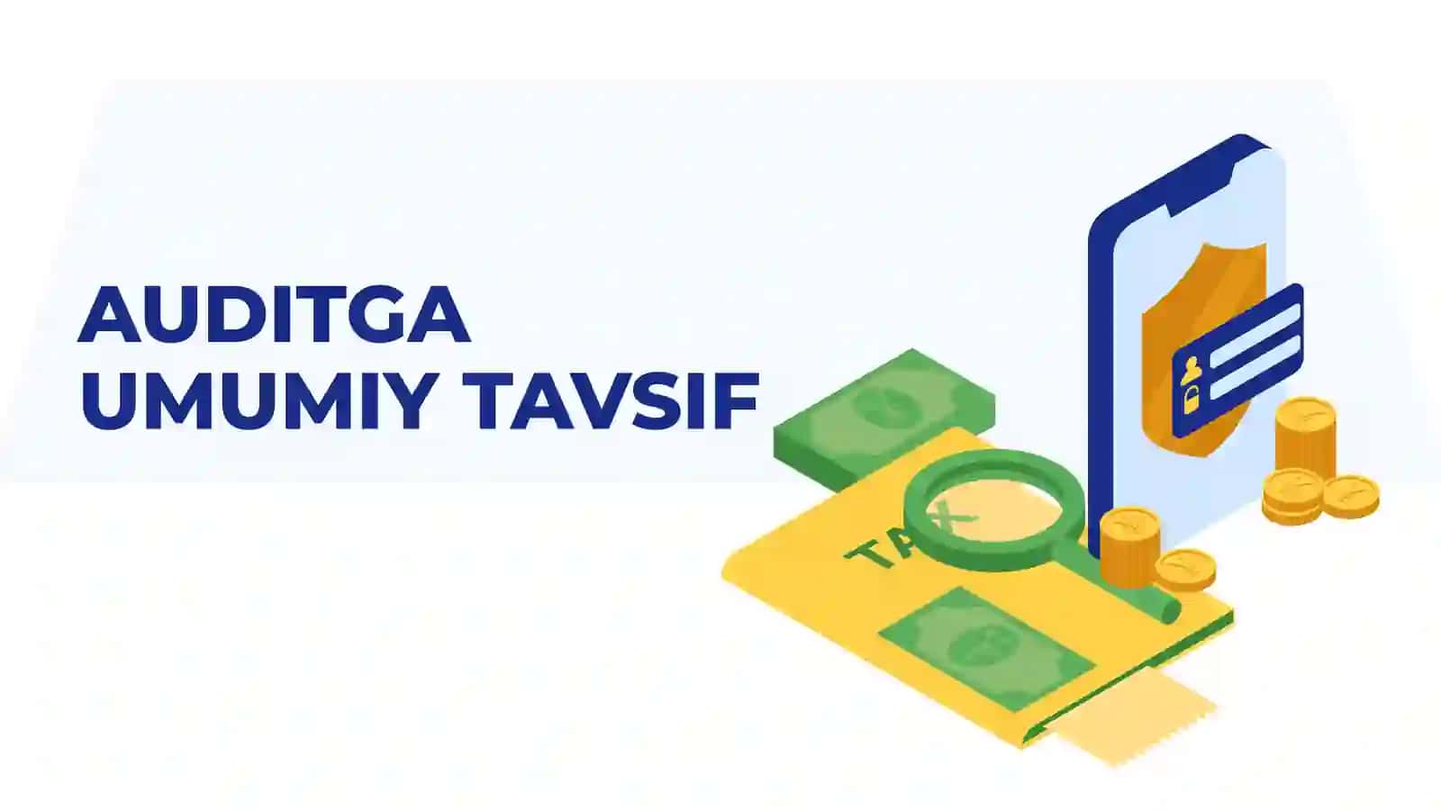 Abdullayev Nurmuhammadning Audit fanidan tayyorlagan taqdimoti 2