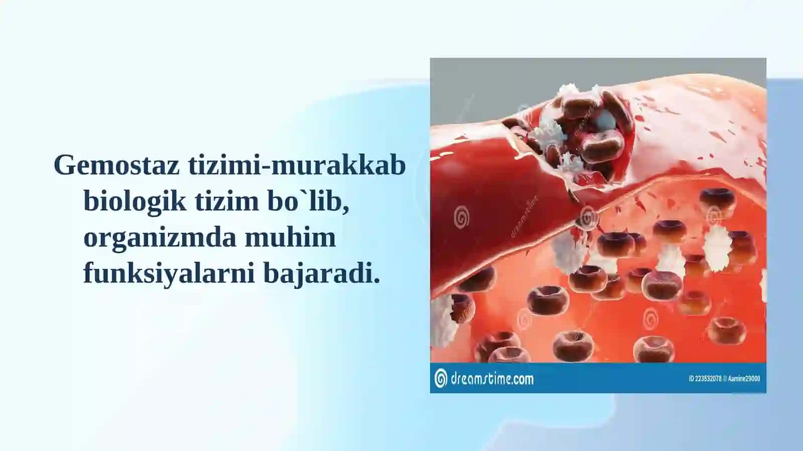 Samarqand Davlat Tibbiyot Universiteti Klinik-laboratoriya diagnostikasi 2