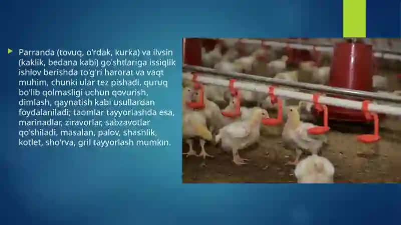 Parranda va ilvasinlarga issiqlik ishlov berish va taomlar tayyorlash 2
