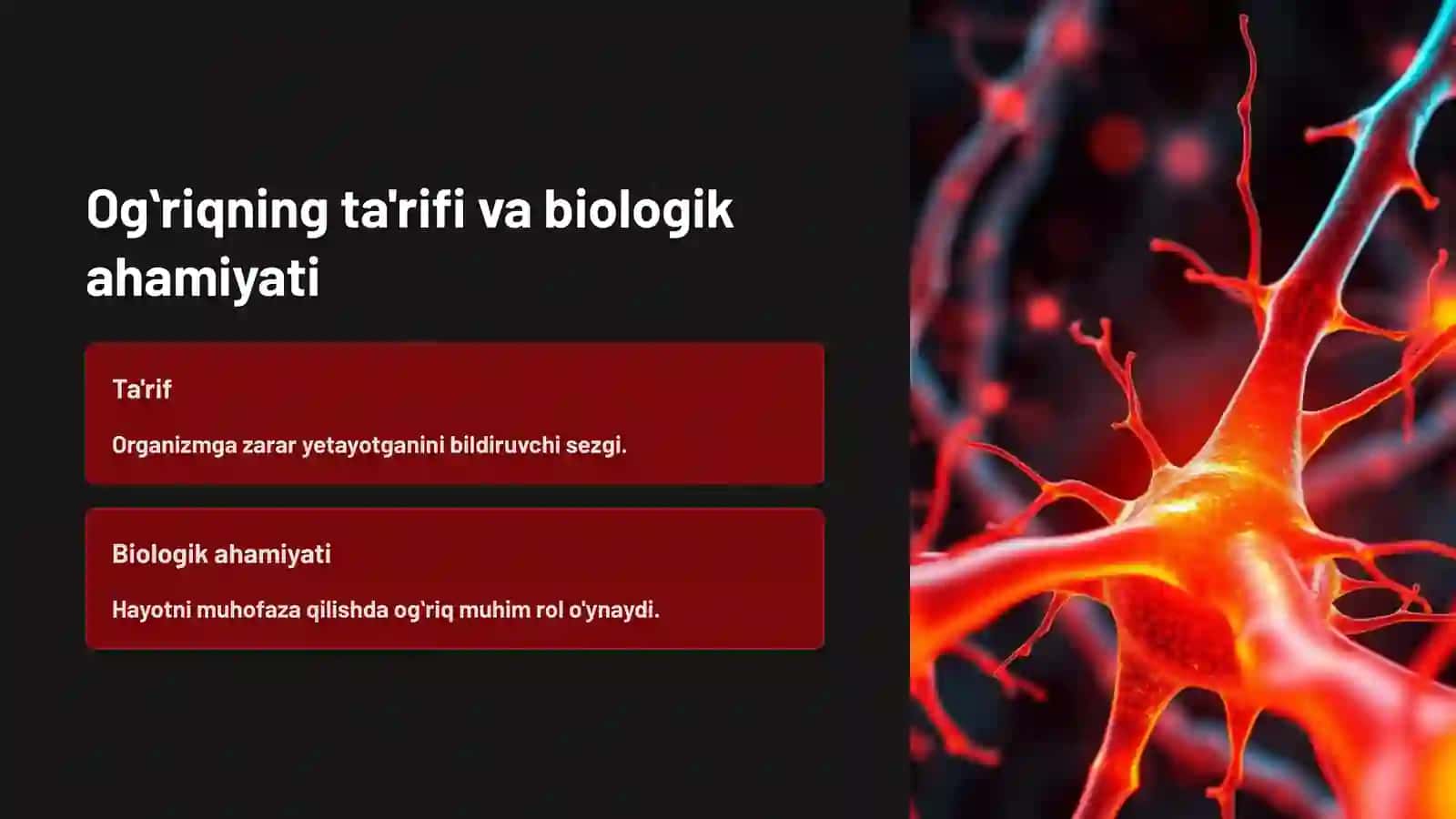 Ogʻriq sezgisi va uning neyrofiziologik analizatorlari 2
