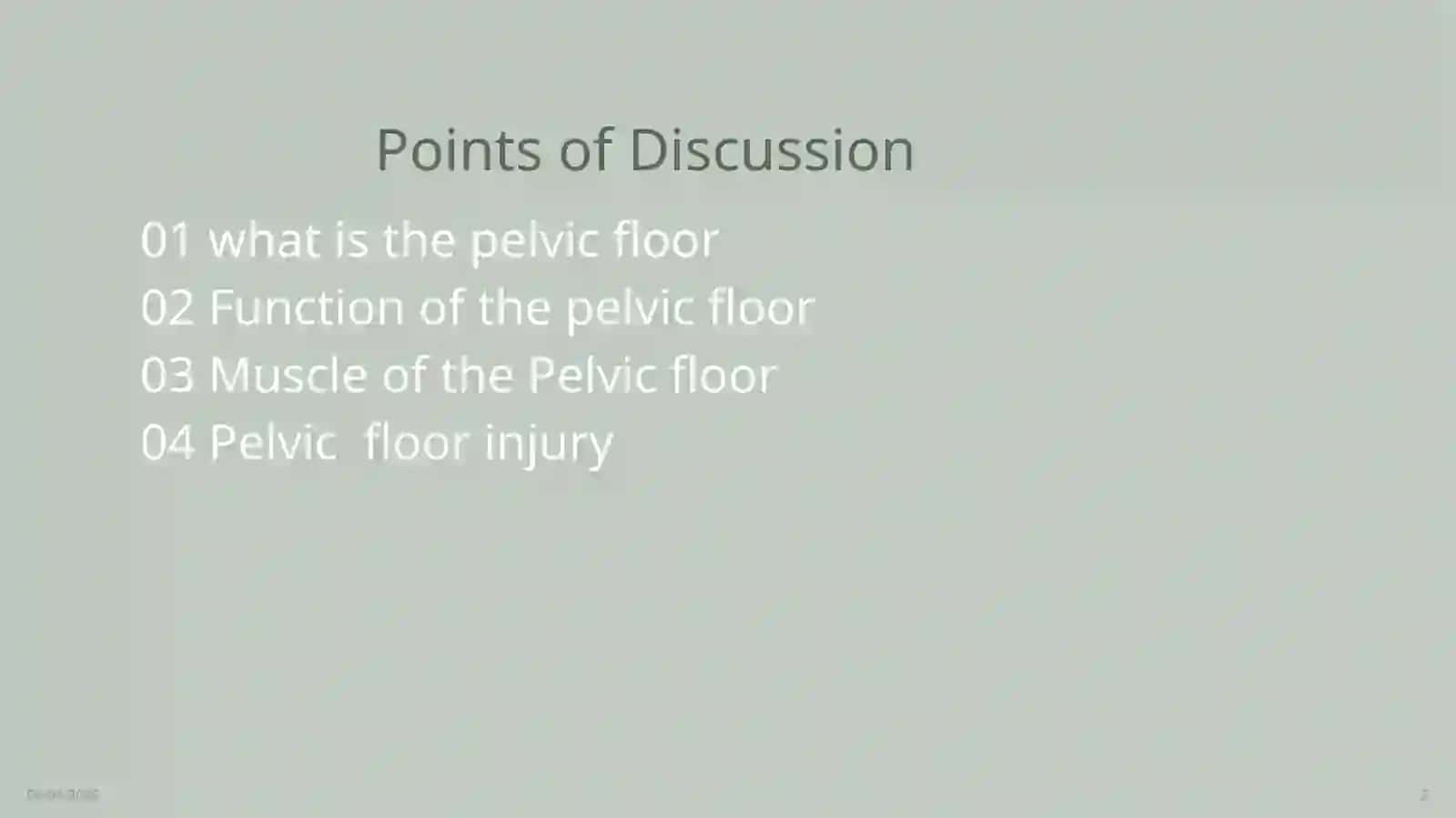 Pelvic Floor Injury 2