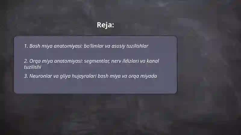 Bosh miya va orqa miya 2