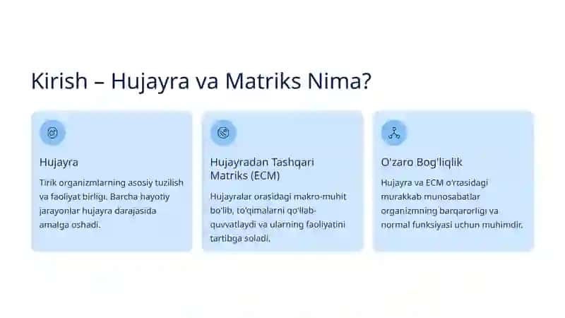 Hujayra va Hujayradan Tashqari Matriks O'rtasidagi Munosabatlar 2