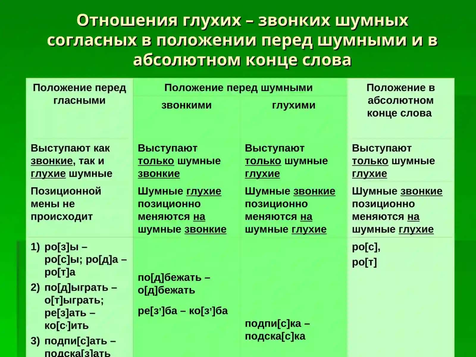 Позиционная меня согласных звуков 2