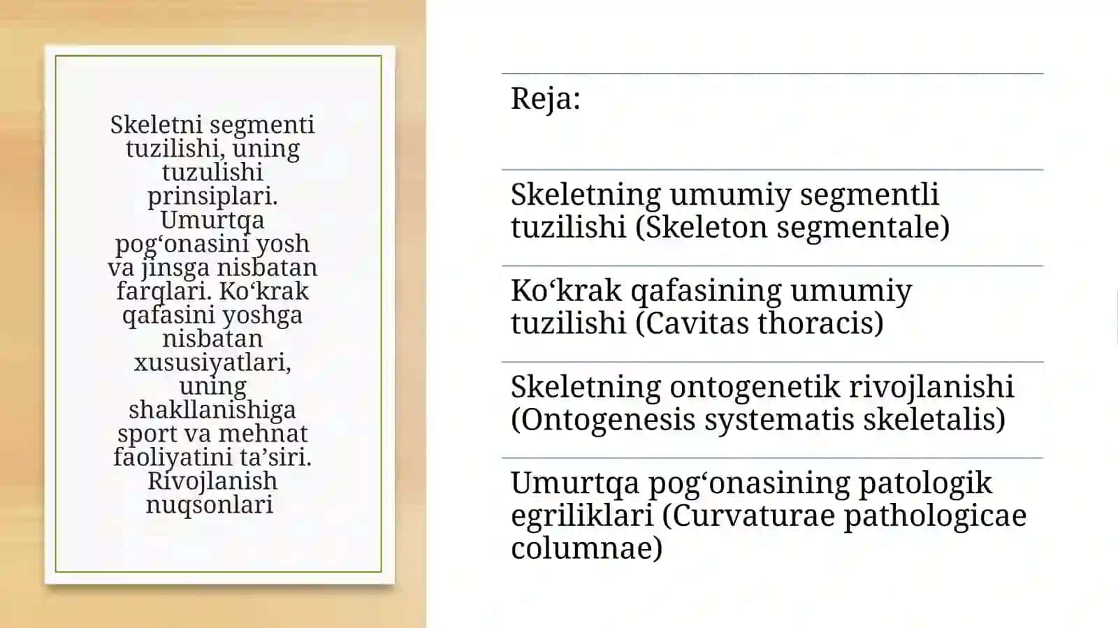 Skeletni segmenti tuzilishi, uning tuzulishi prinsiplari. Umurtqa pogʻonasini yosh va jinsga nisbatan farqlari. Koʻkrak qafasini yoshga nisbatan xususiyatlari, uning shakllanishiga sport va mehnat faoliyatini taʼsiri. Rivojlanish nuqsonlari 2