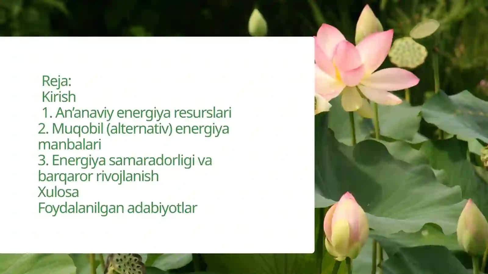 Energiya resurslari va muqobil energiya manbalari 2