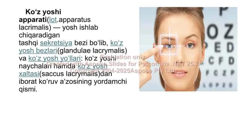Ko‘z yoshi apparati(lot.apparatus lacrimalis) 2