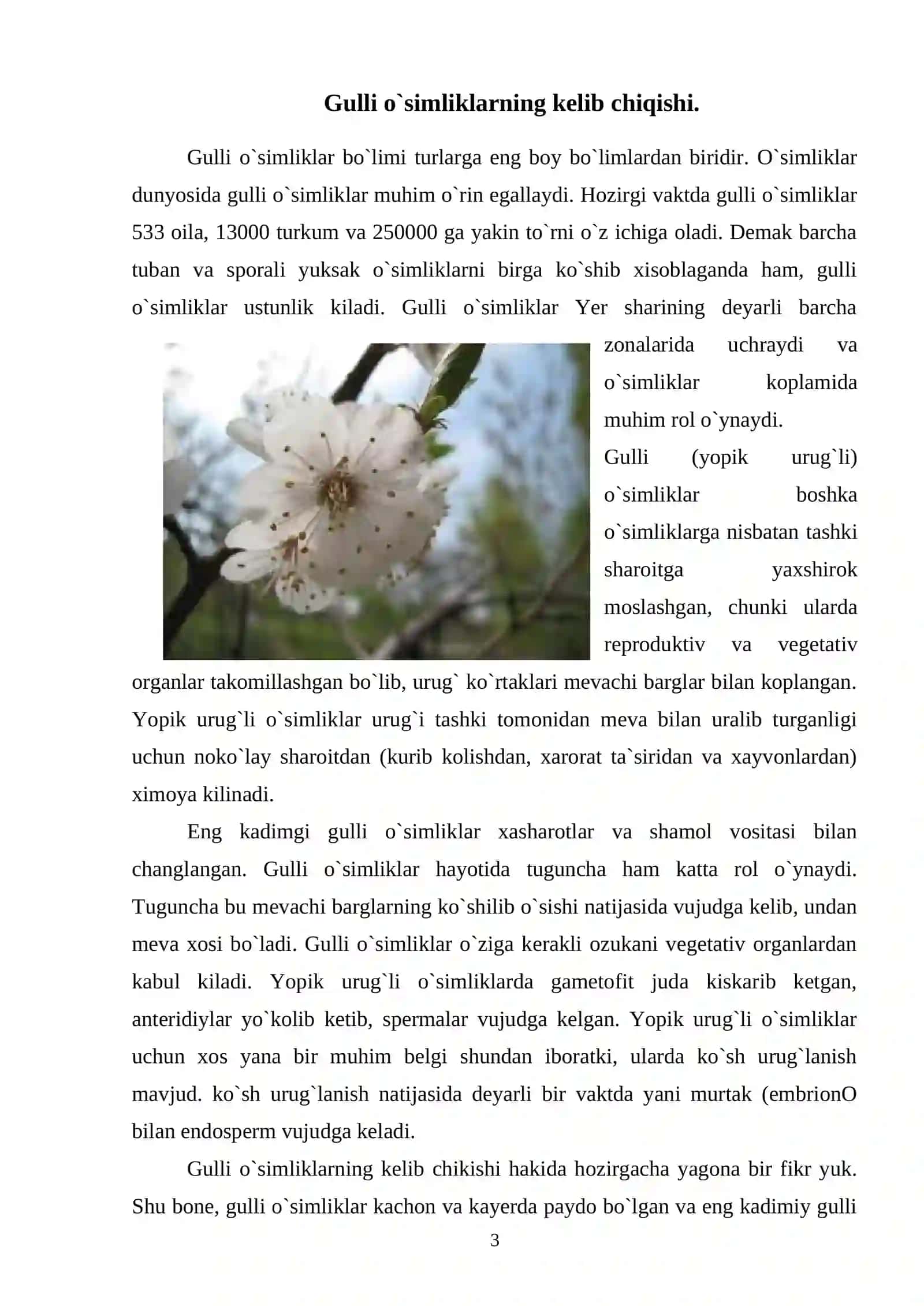 Yalpizdoshlar oilasi, tur tarkibi, biologiyasi va ekologiyasi 2