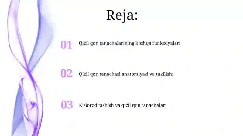 Qizil qon tanachalari anatomiyasi va tuzilishi 2
