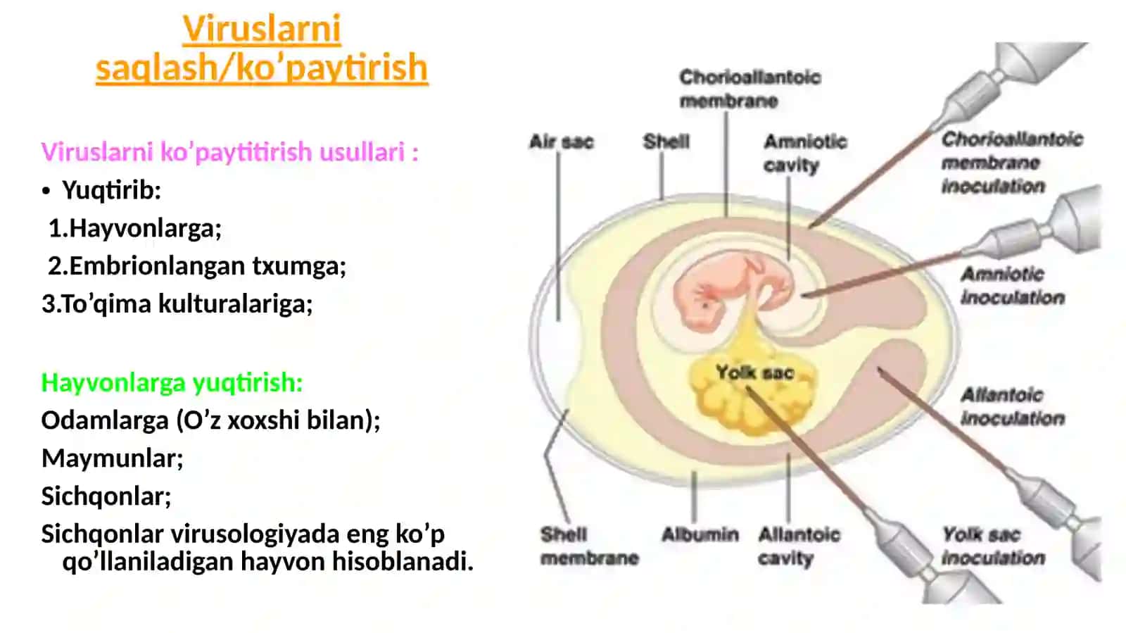 VIRUSOLOGIYADA QO’LLANILADIGAN TADQIQOT USULLARI 2