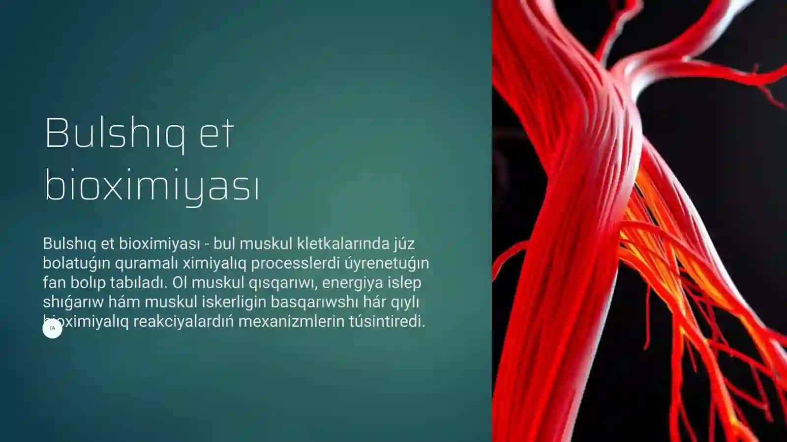 Bulshıq et bioxımıyası 2