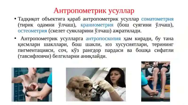 Антропометрия 2