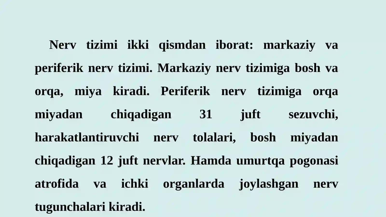 Orqa miya 2