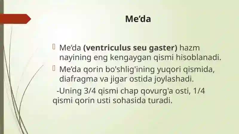Me’da tuzulishi vazifasi va ahamiyati 2