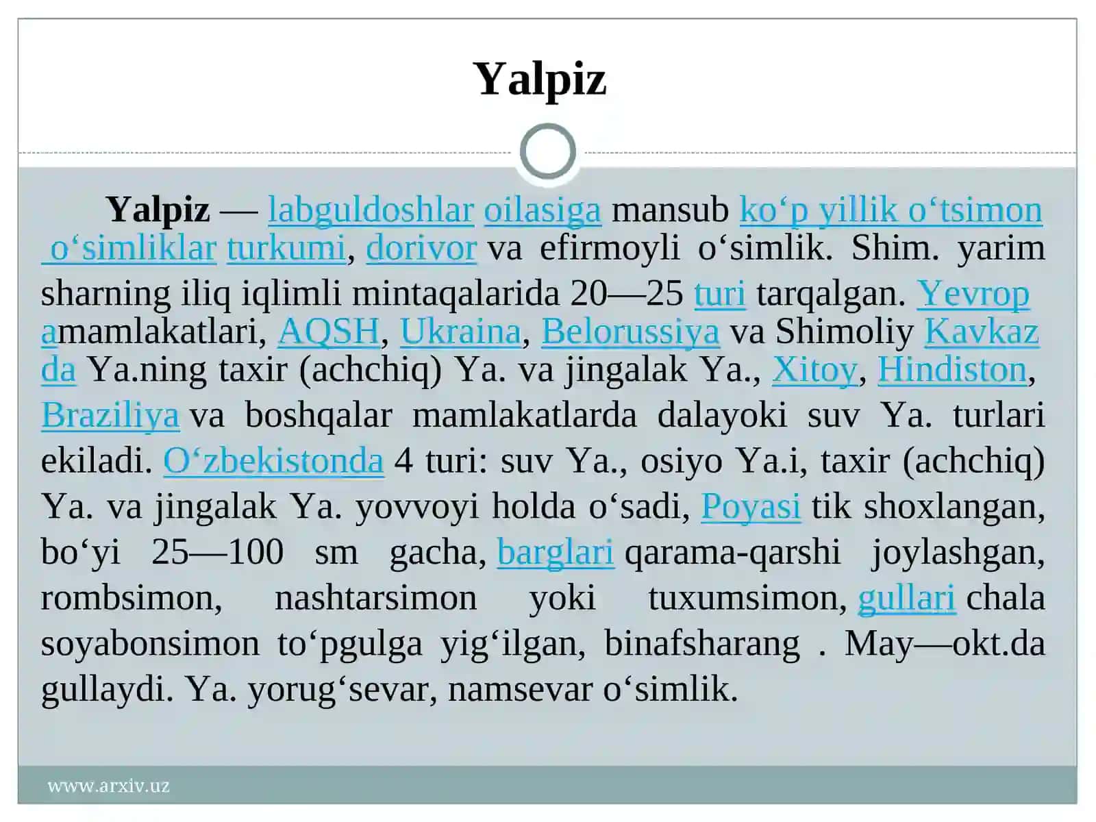 Yalpiz 2