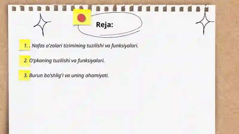 Nafas a'zolari tizimi 2