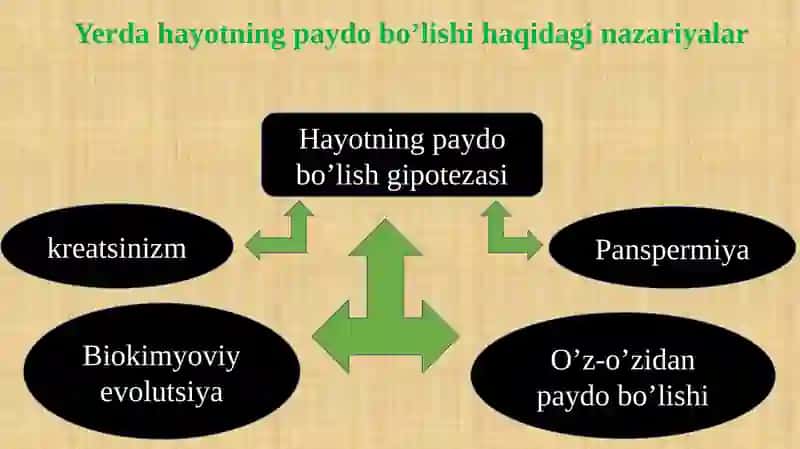Evolyutsion jarayonlar va ularning umumiy qonuniyatlari. Antropogenez 2