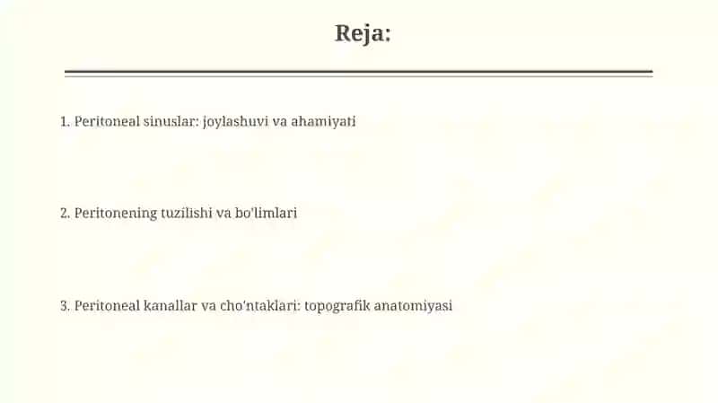 Duodenal chuqurcha 2
