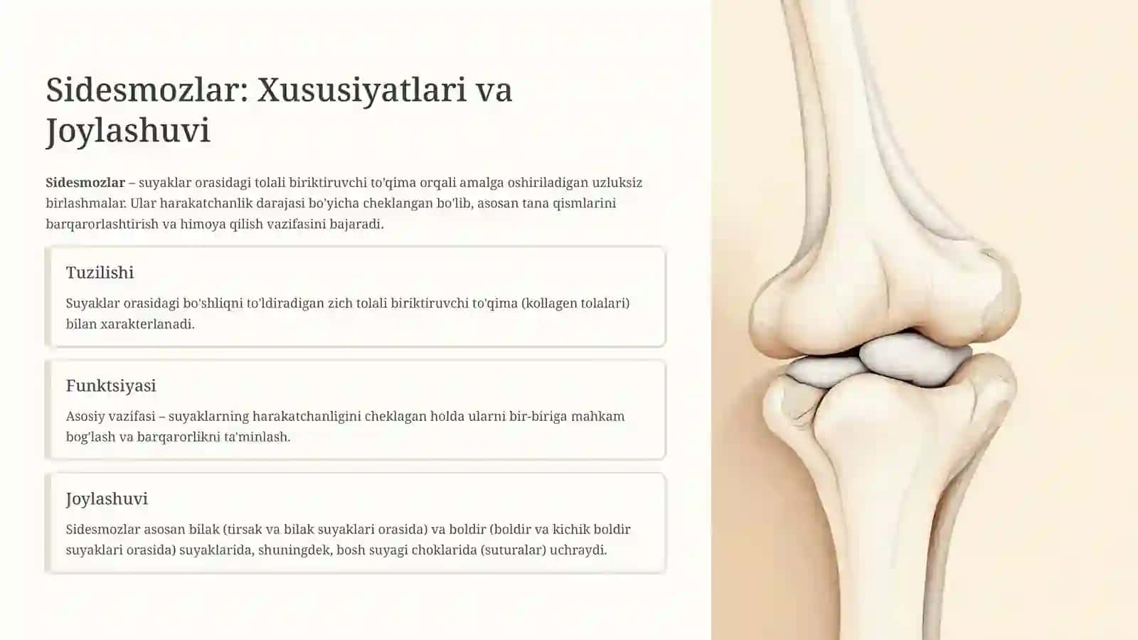 Sidesmoz, Sinxondroz, Sinostoz Birlashmalari: Umumiy Tushuncha 2