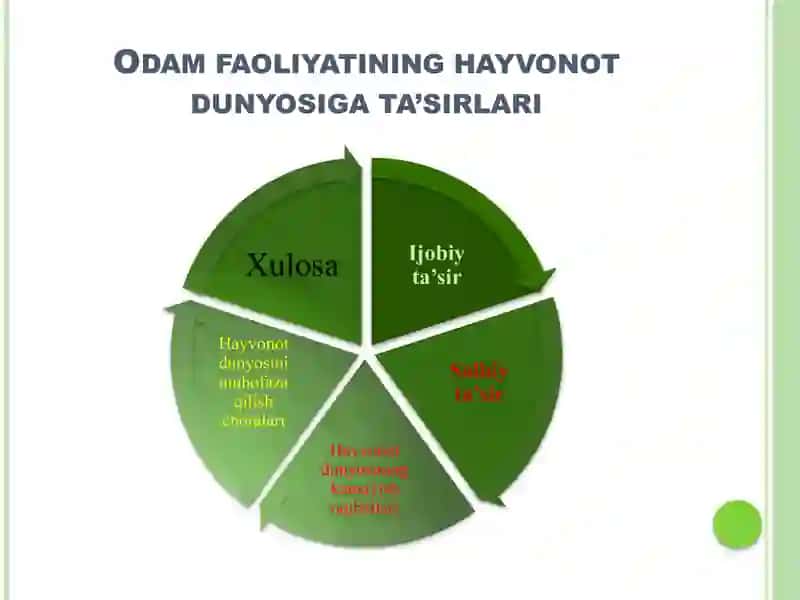 Odam faoliyati va hayvonot dunyosi - Bioekologiya fanining predmeti, maqsadi va vazifalari 2