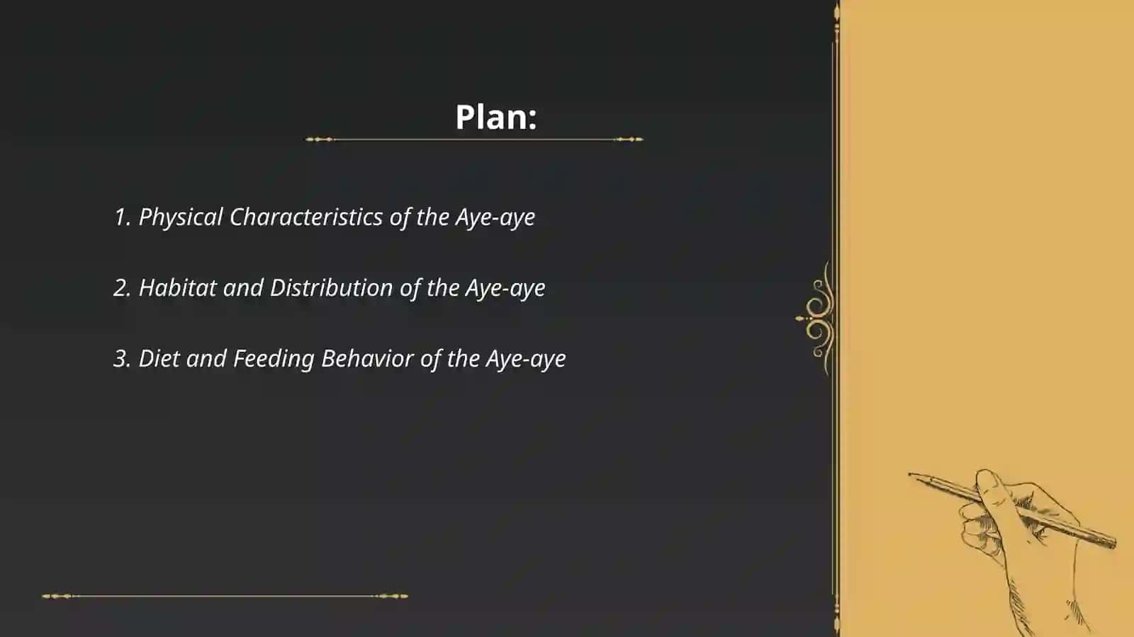 Physical Characteristics of the Aye-aye 2