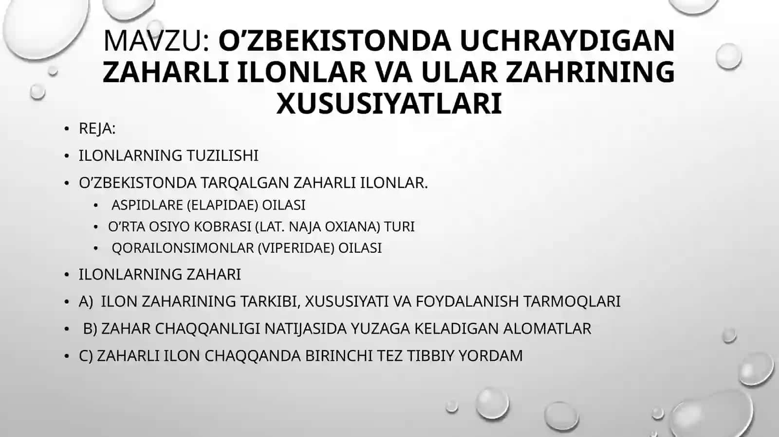 O’ZBEKISTONDA UCHRAYDIGAN ZAHARLI ILONLAR VA ULAR ZAHRINING XUSUSIYATLARI 2
