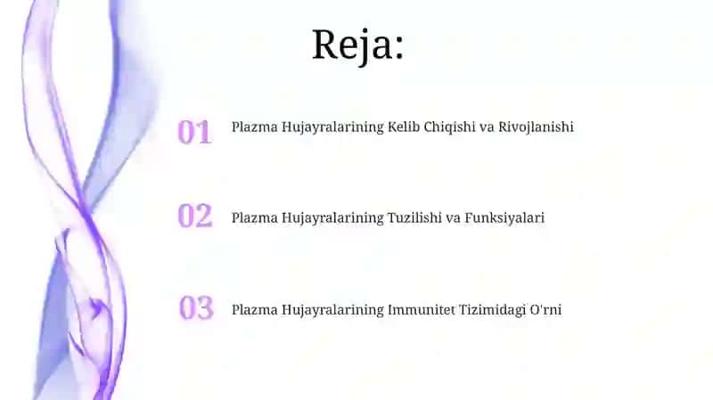 Plazma Hujayralarining Kelib Chiqishi va Rivojlanishi 2