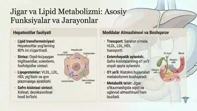 Surunkali gepatitlar xoletsistit va yogʻlar hazmlanishi buzilishining klinik patofiziologik aspektla 2